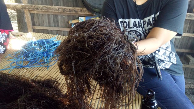 Rumput laut gracilaria dari Takalar, Sulawesi Selatan. (Foto: Marcia Audita/kumparan)