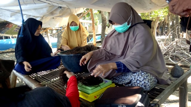 Perempuan-perempuan Takalar, Sulawesi Selatan sedang mengikat rumput laut. (Foto: Marcia Audita/kumparan)