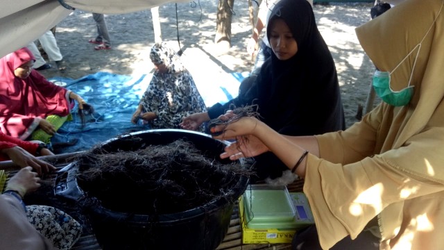 Perempuan-perempuan Takalar, Sulawesi Selatan sedang mengikat rumput laut. (Foto: Marcia Audita/kumparan)