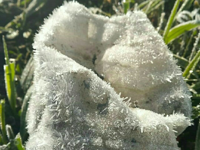 Wah! Ranu Pani di Lumajang Bersalju (1)