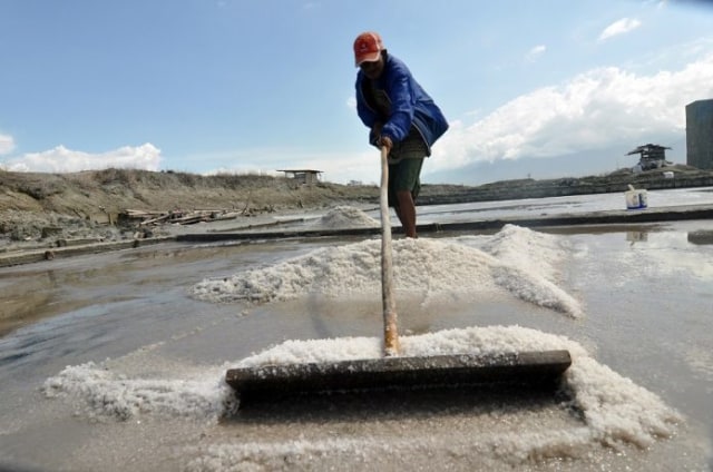 Produksi Garam di Pasuruan Masih 1% Dari Target 15.250 Ton