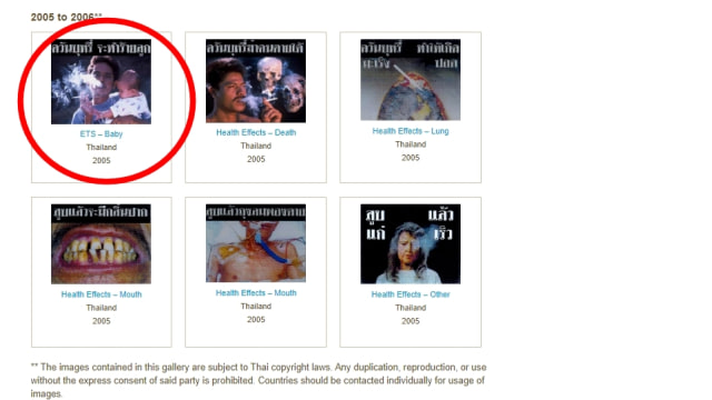 Cover bungkus rokok di website Thailand. (Foto: Dok. tobaccolabels.ca)