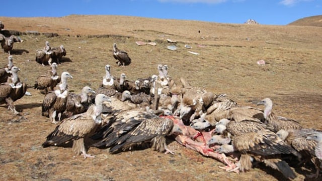 Jhator di Tibet (Foto: Flickr/suzie dsouza)