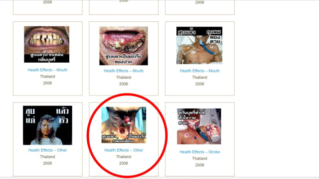 Cover bungkus rokok di website Thailand.
 (Foto: Dok.tobaccolabels.ca)
