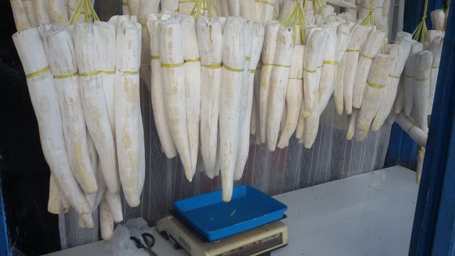 Tape singkong (Foto: wikimedia commons)