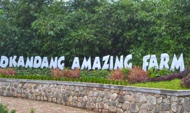 Tempat Wisata Edukasi, Selain Belajar Bisa juga Bermain