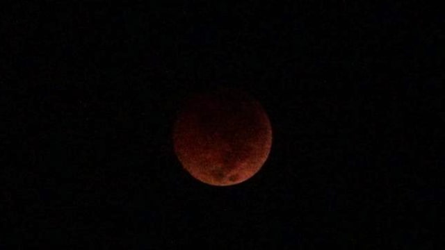 Gerhana Bulan Merah Darah (Foto: Yudhistira Amran Saleh/kumparan)