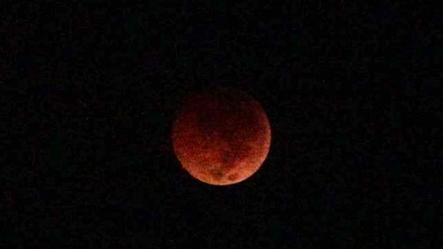 Gerhana Bulan Merah Darah (Foto: Yudhistira Amran Saleh/kumparan)