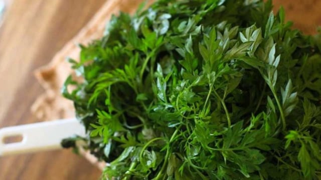 3 Manfaat Daun Kenikir untuk Ibu Hamil