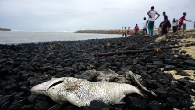 7000 Ton Batu Bara Cemari Pantai Wisata di Aceh (Foto: Zuhri Noviandi/kumparan)