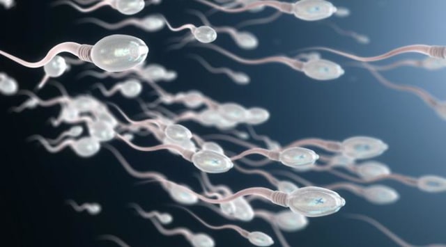 Ingin Sperma Anda Sehat? Konsumsi 5 Makanan Ini