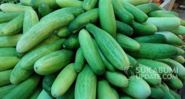 Musim Kemarau, Harga Mentimun di Pasar Cibadak Sukabumi Tembus Rp 18 Ribu per Kilogram