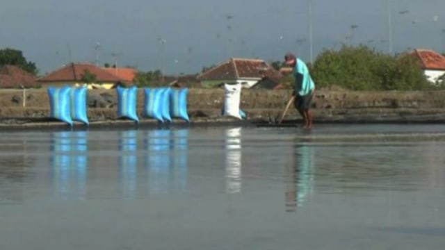 Garam Probolinggo Terkena Imbas Kebijakan Retur dari Pabrikan