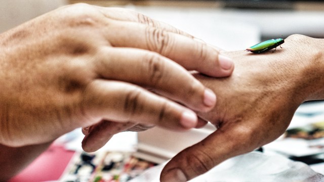 Ki Kusumo menggunakan media hewan untuk pemasangan susuk. (Foto: Nugroho Sejati/kumparan)