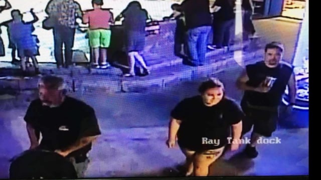 Tiga orang pencuri hiu (Foto: San Antonio Aquarium)