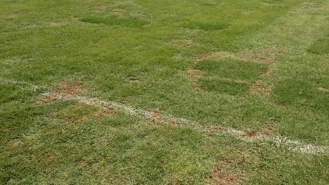 Suasana Stadion Patriot Candrabragha jelang Asian Games 2018, pada Jumat (03/8).  (Foto: Alan Kusuma/kumparan)