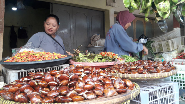 Harga Jengkol Di Tegal Meroket, Mengalahkan Harga Daging Ayam Potong