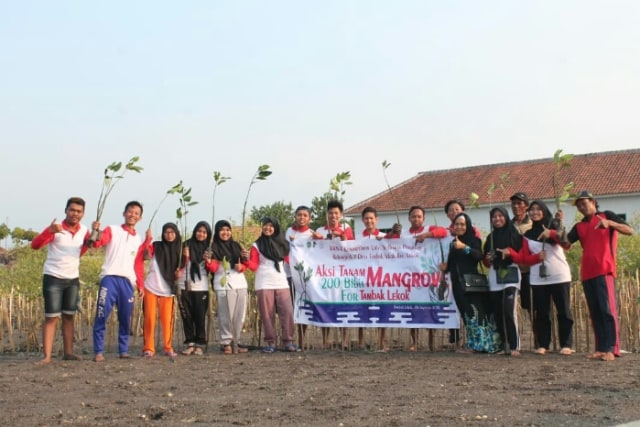 Dukung Program Vegetasi Pantai, Mahasiswa KKN UYP Gelar Aksi Rehabilitasi Mangrove