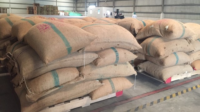Gudang penyimpanan bahan baku kakao PT Kalla Kakao Industri  (Foto: Ema Fitriyani/kumparan)