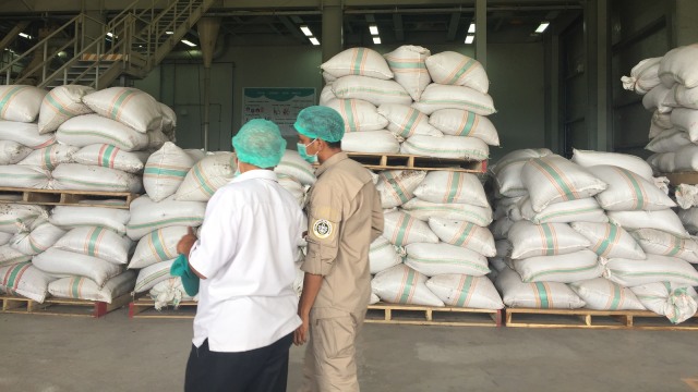 Gudang fermentasi biji kakao PT KKI (Foto: Ema Fitriyani/kumparan)