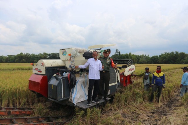 Ladang Persawahan (Foto: Badan Ketahanan Pangan)