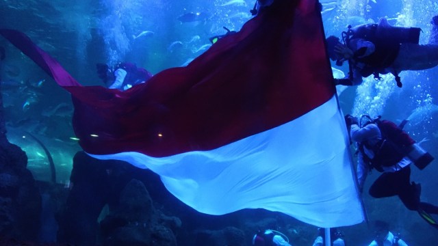 Kaca Main Aquarium Seaworld ditutupi bendera merah putih, Jumat (10/8). (Foto: Helinsa Rasputri/kumparan)