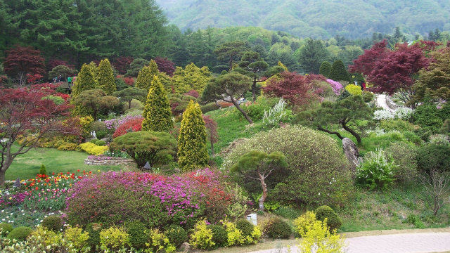 Garden of Morning Calm (Foto: Weli'mi'nakwan/flickr)