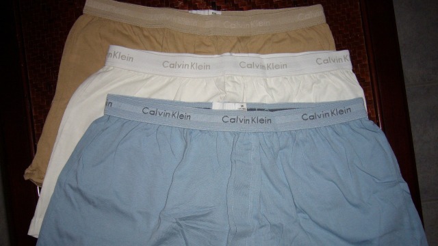 Ilustrasi celana dalam pria jenis boxer. Foto: kennethmcandrew via pixabay.