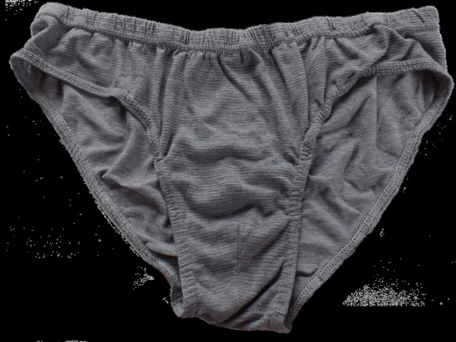 Ilustrasi celana dalam pria jenis segitiga. (Foto: Conmongt via pixabay.)