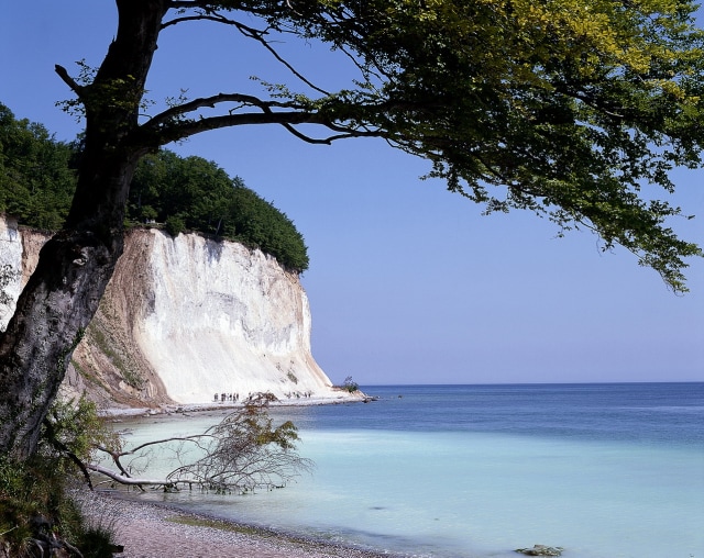 Taman Nasional Jasmund (Foto: http://www.germany.travel)