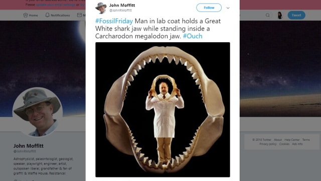 5 Fakta Menarik Tentang Megalodon (1)