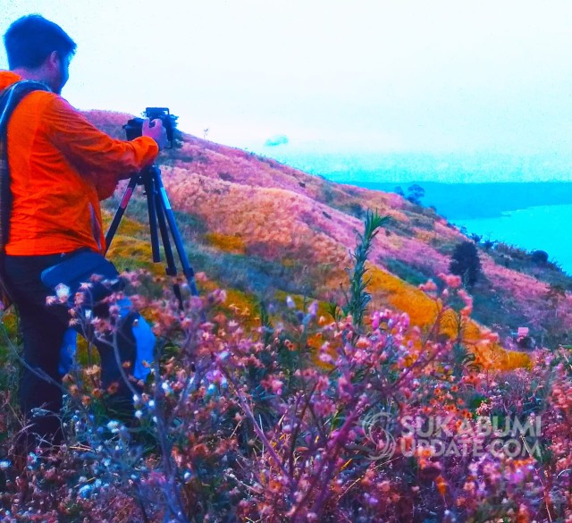 Bunga Warna-warni Percantik Panorama Alam Bukit Cibuti di Geopark Ciletuh Sukabumi (1)