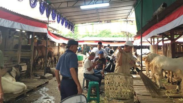 Pasar Kambing di Jalan Sabeni, Tanah Abang, Jakarta Pusat, Minggu (12/8/2018). (Foto: Ema Fitriyani/kumparan)