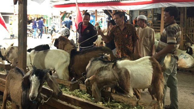 Pasar Kambing di Jalan Sabeni, Tanah Abang, Jakarta Pusat, Minggu (12/8/2018). (Foto: Ema Fitriyani/kumparan)