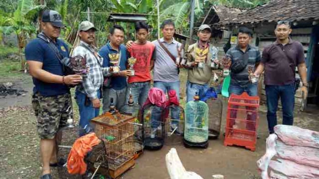 Maling Burung, Dua Pemuda di Jembrana Dibekuk Polisi
