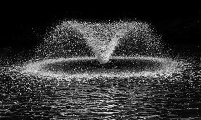 Carbex Nusantara Garap Proyek Kolam Air Mancur Rp 5,3 Miliar