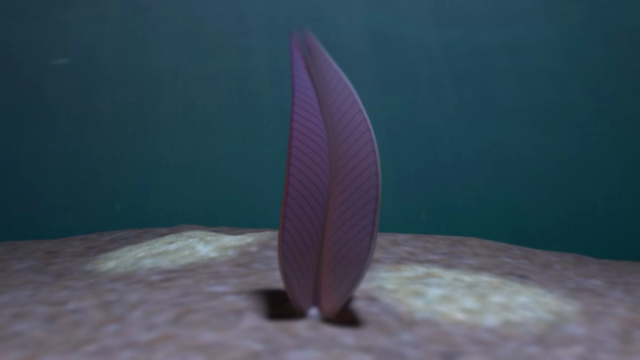 Ilustrasi Stromatoveris. (Foto: Jennifer Hoyal Cuthill/University of Cambridge)