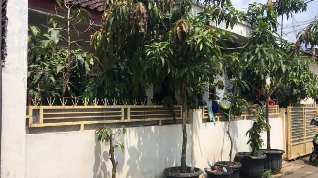 Suasana di depan Istana Ubur-ubur, Banten, Selasa (14/8/2018).  (Foto: Dok: Irish Tamzil)