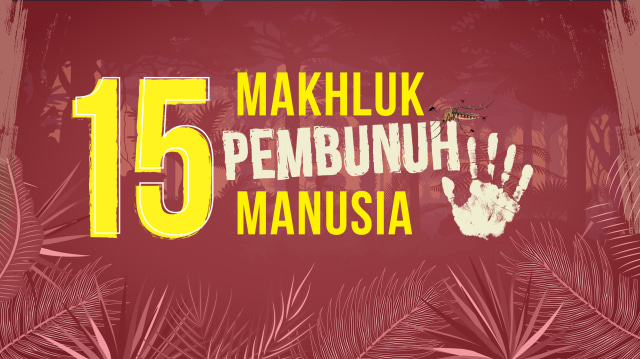 15 Makhluk yang Paling Banyak Membunuh Manusia (Foto: Basith S/kumparan)