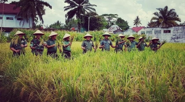 Perdana Panen Pajalekan, Demplot Mini Agro Tekno Eks Kompi 141 AYJP Kodim 0406/MLM