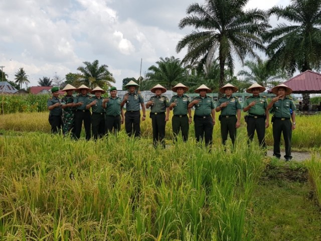 Perdana Panen Pajalekan, Demplot Mini Agro Tekno Eks Kompi 141 AYJP Kodim 0406/MLM (1)