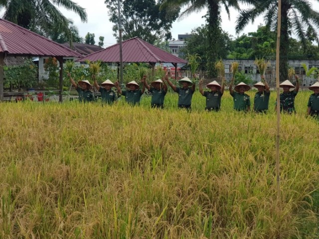 Perdana Panen Pajalekan, Demplot Mini Agro Tekno Eks Kompi 141 AYJP Kodim 0406/MLM (2)
