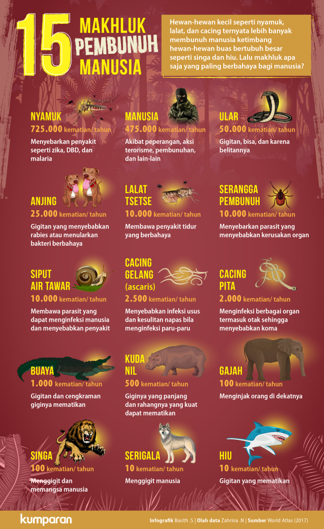 15 Makhluk yang Paling Banyak Membunuh Manusia (Foto: Basith S./kumparan)