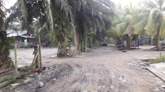Suasana di Desa Aji Kuning, Pulau Sebatik, Nunukan, Kalimantan Utara. Foto: Fadjar Hadi/kumparan