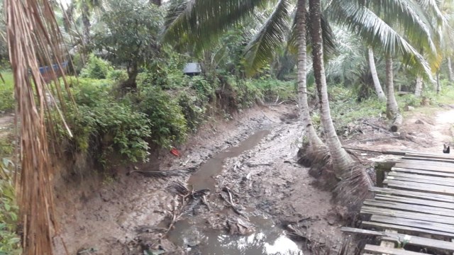Suasana di Desa Aji Kuning, Pulau Sebatik, Nunukan, Kalimantan Utara. (Foto: Fadjar Hadi/kumparan)