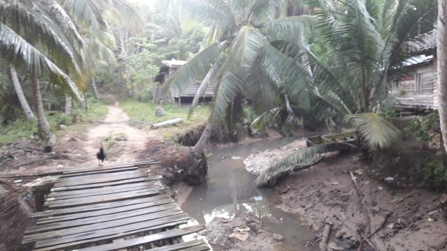 Suasana di Desa Aji Kuning, Pulau Sebatik, Nunukan, Kalimantan Utara. Foto: Fadjar Hadi/kumparan