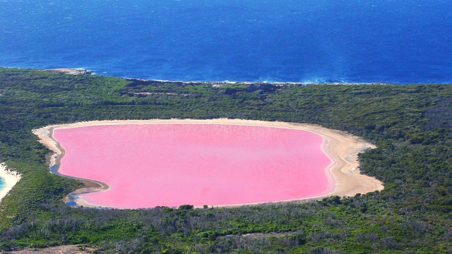 Warna Merah Muda di Danau Retba