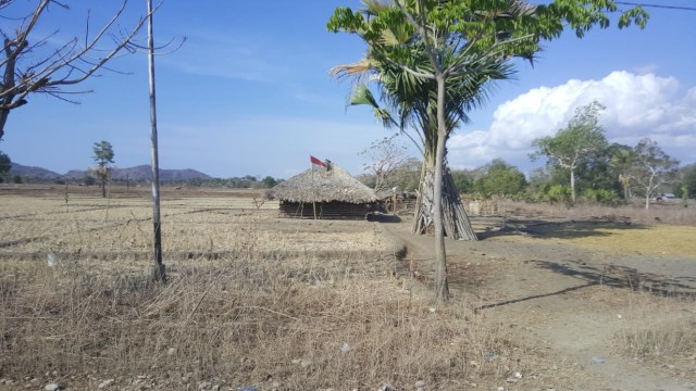 Bukan Sekedar Janji (untuk) Joni (4)