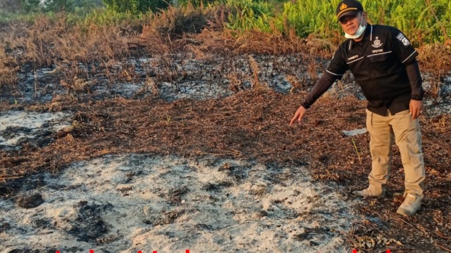 Lokasi pembakaran lahan di Pontianak. (Foto: Dok. Polda Kalbar)