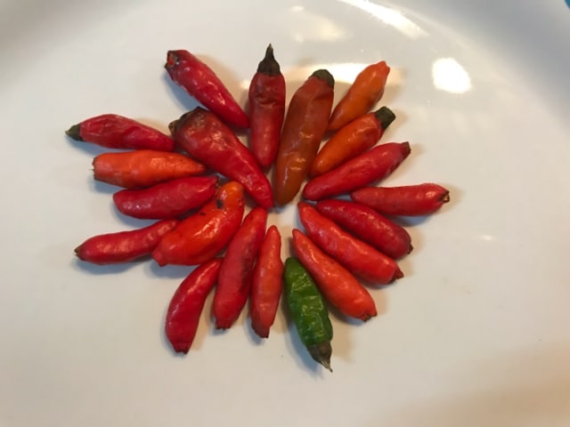 Cita Rasa Sambal Luat dari NTT (1)